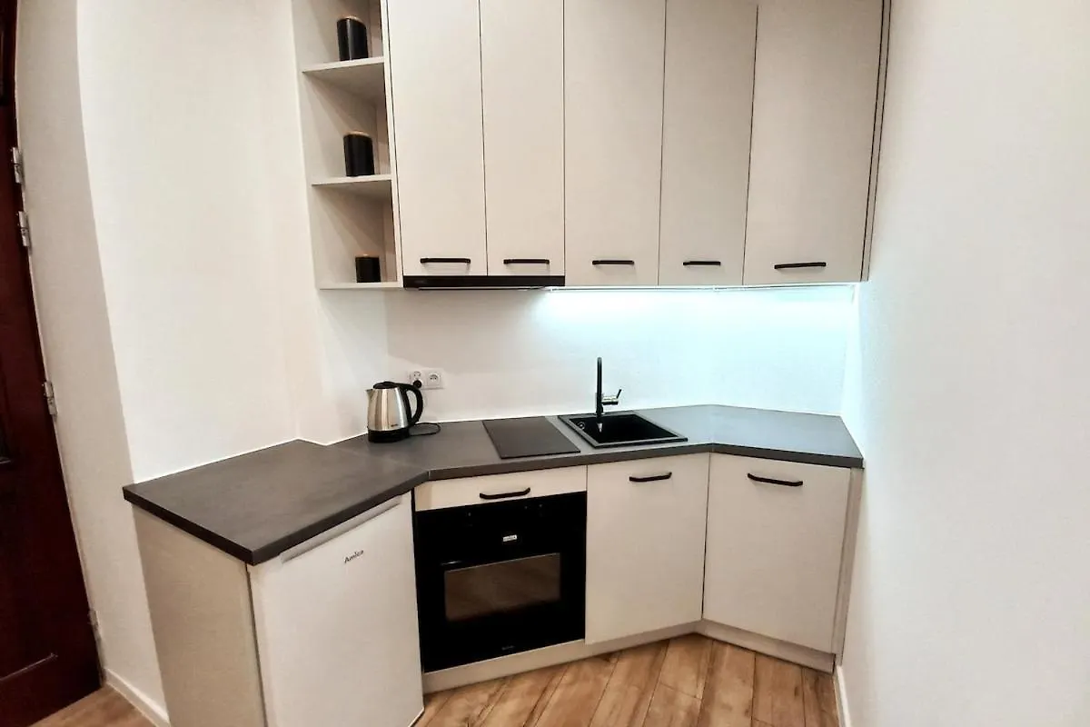 Daire Skawinska Street Apt Krakow Polonya